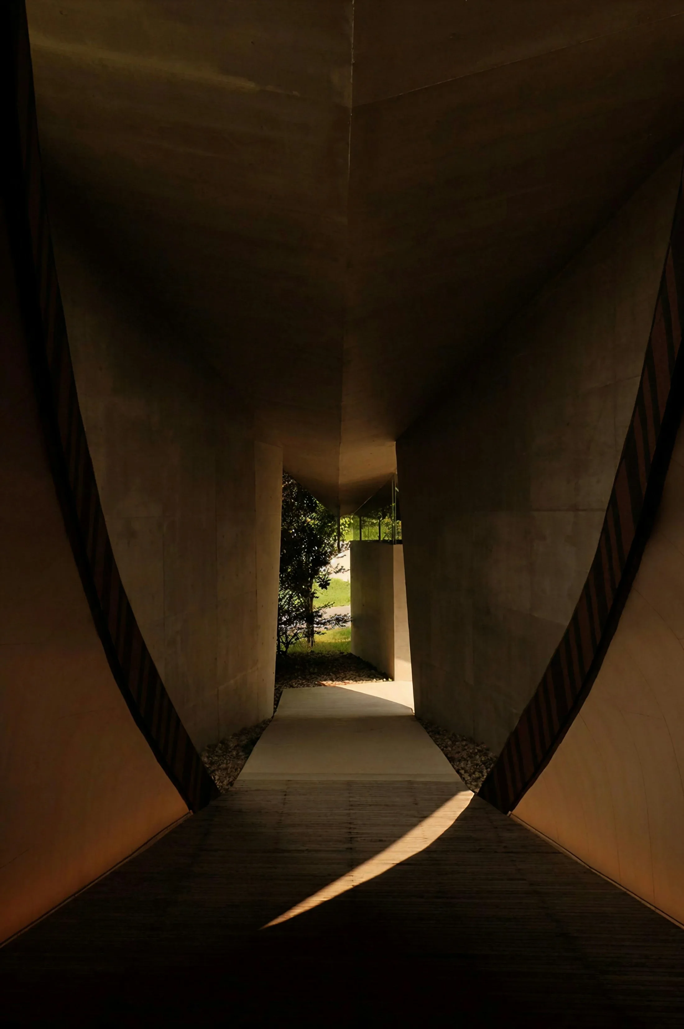 A quiet walkway in warm natural light